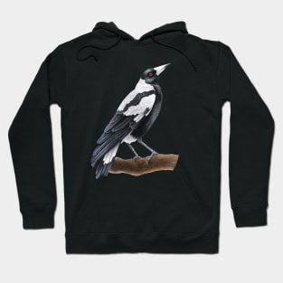 Australian Magpie Hoodie